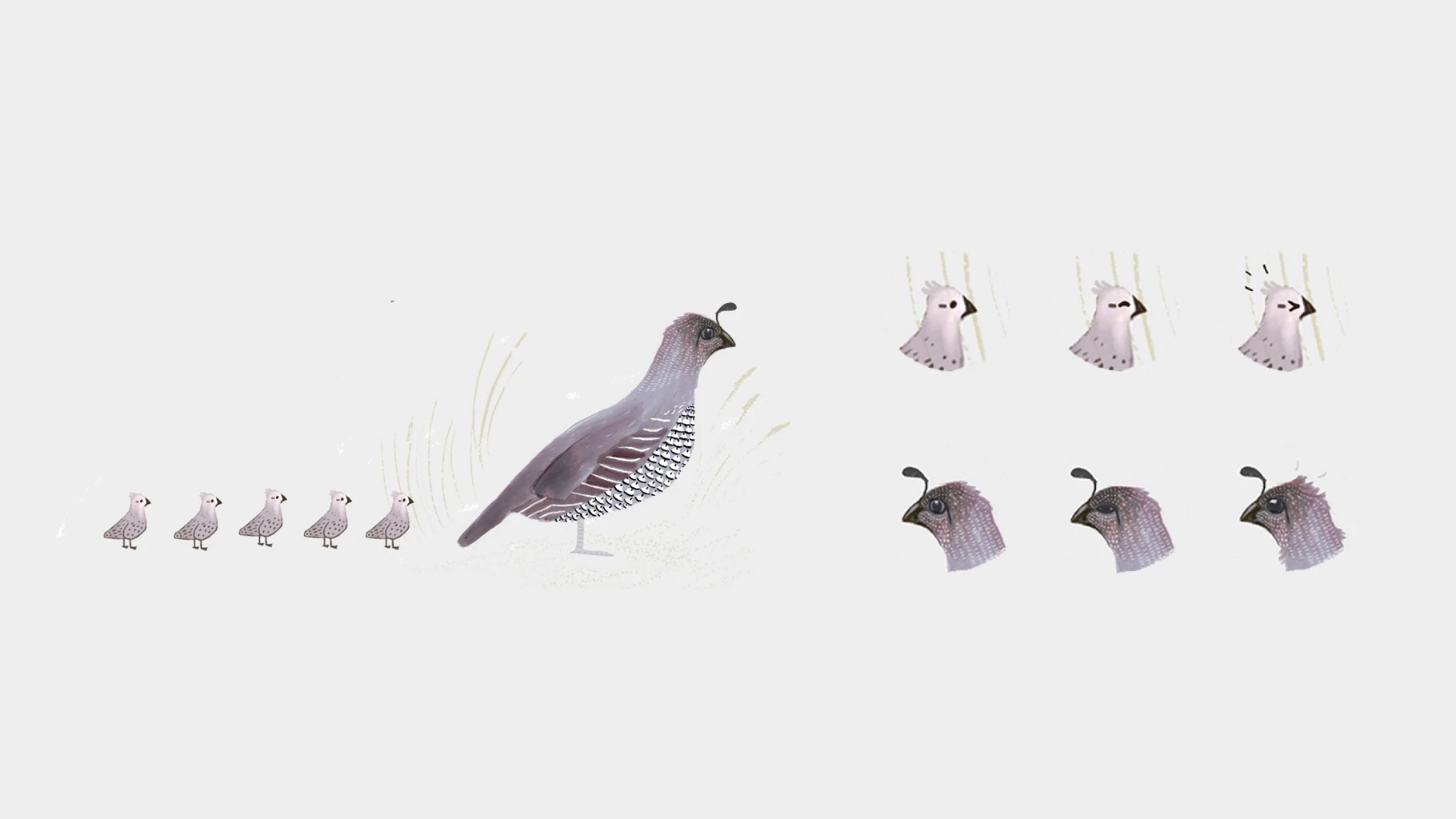 我的小小故事书 画面 6
